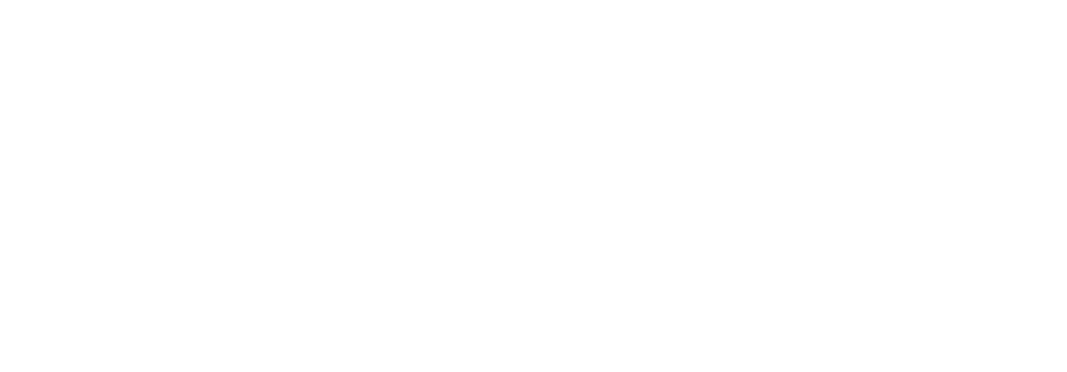 Vincent Cluizel